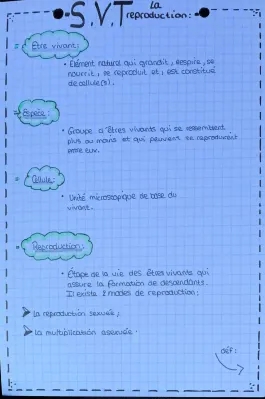 Évaluation SVT 5ème : Reproduction Sexuée et Asexuée + Schémas et Définitions