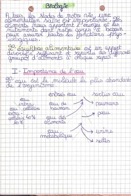 L'eau et les Glucides : Rôles et Bienfaits 🍏🍌🥕