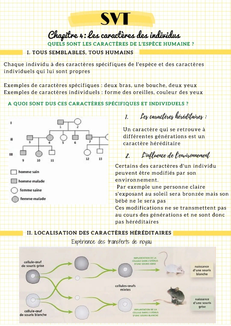 Les chromosomes et caractères héréditaires: exemples et définitions