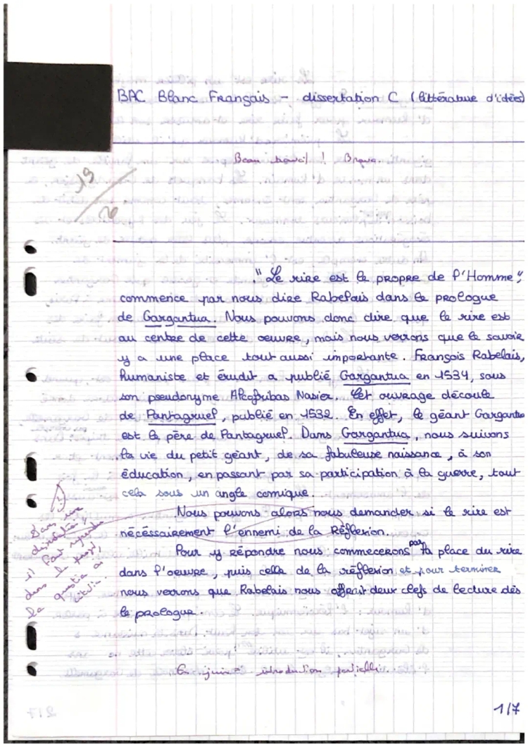 Grille évaluation dissertation bac français - Gargantua résumé, analyse, et corrigés