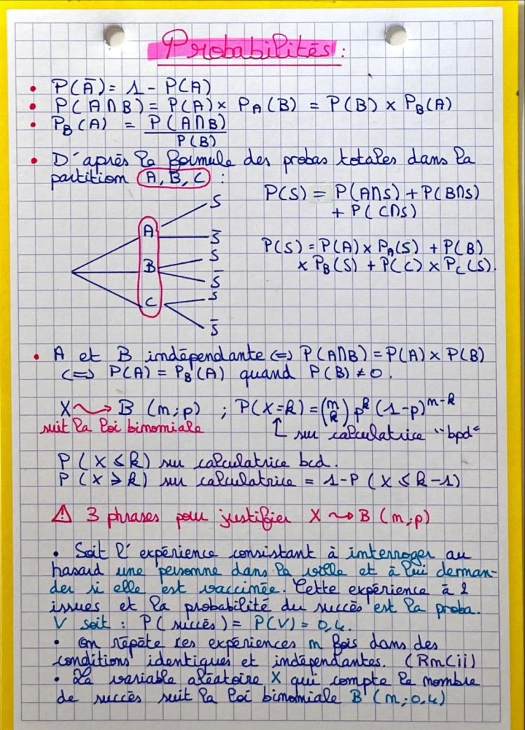 Probabilités Terminale: Cours et Exercices Corrigés PDF