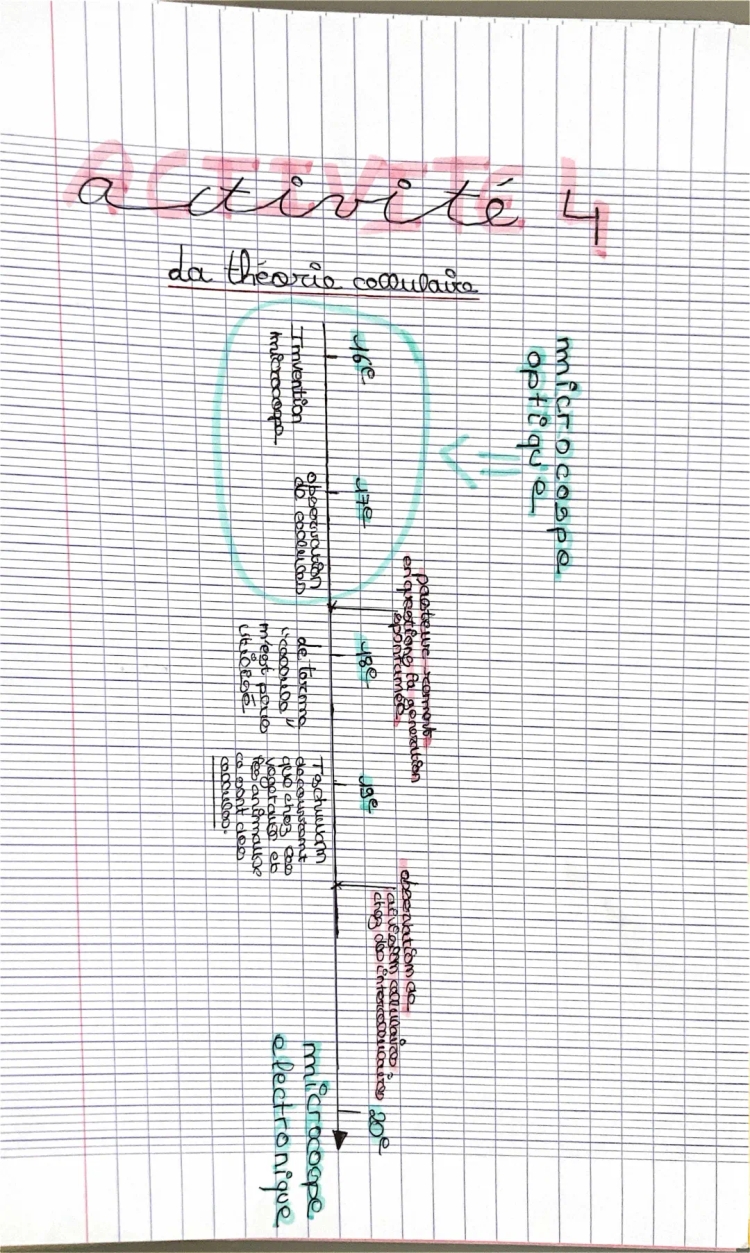 LA THÉORIE CELLULAIRE 