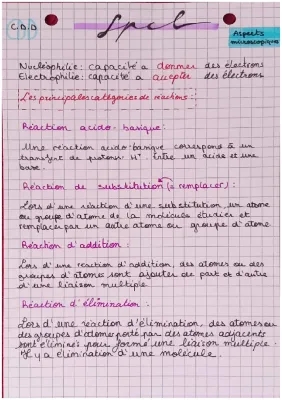 Aspects microscopiques