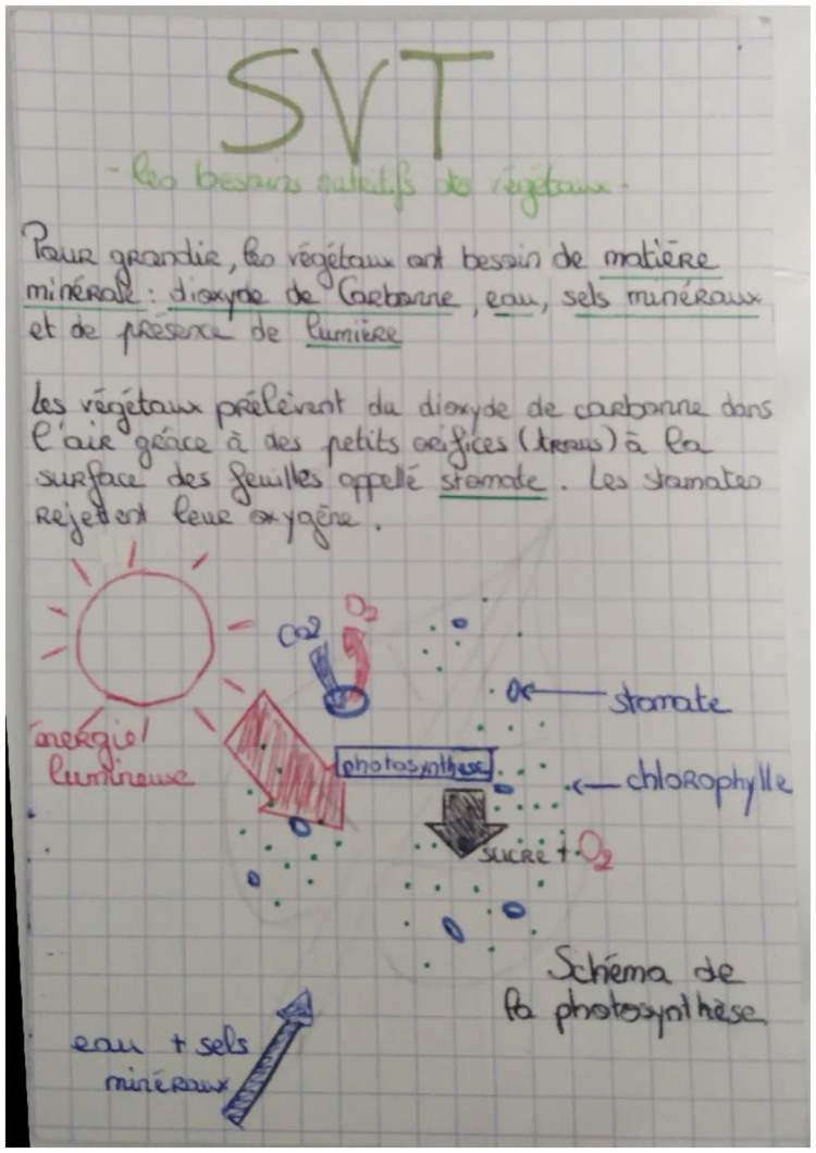 SVT : les besoins nutritifs des végétaux