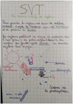 SVT : les besoins nutritifs des végétaux