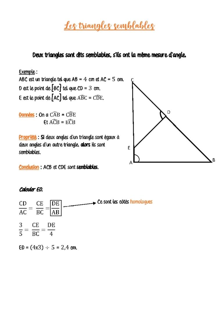 Les Triangles Semblables 