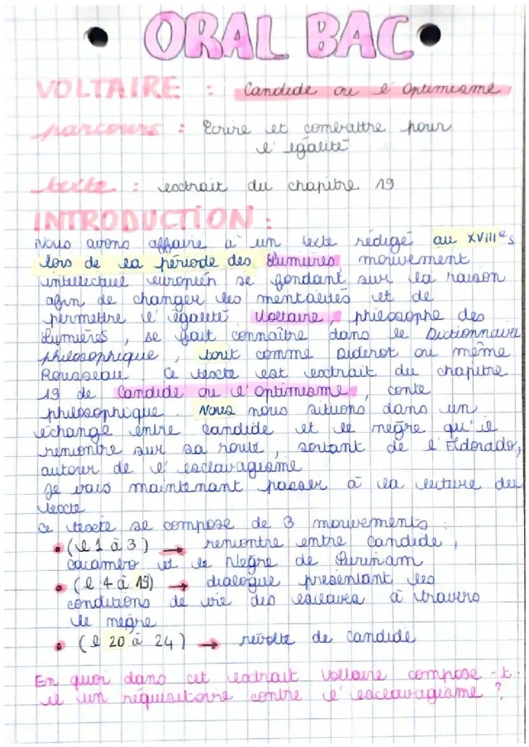 Analyse linéaire le negre de surinam voltaire 