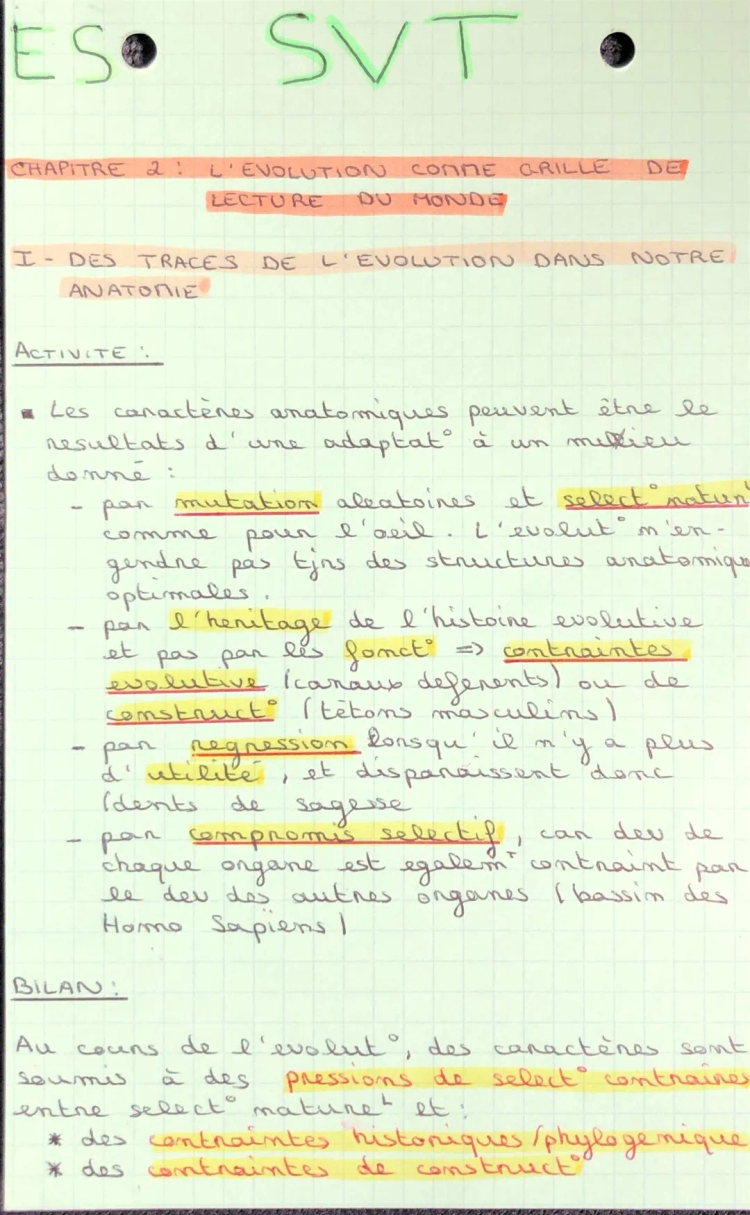 L’évolution comme grille de lecture du monde