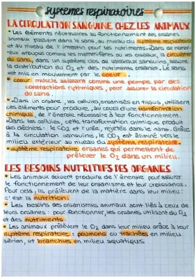 Les Systèmes de Transport et Nutrition chez les Animaux - SVT 5ème et 6ème