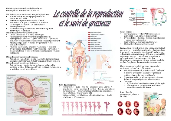 Fiche ST2S BPH : Le contrôle de la reproduction et le suivi de grossesse