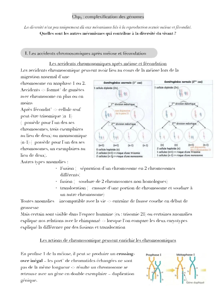 Comprendre les anomalies génétiques