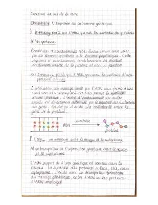 Fiche Révision: Expression du Patrimoine Génétique et Synthèse des Protéines - 1ère Spé SVT