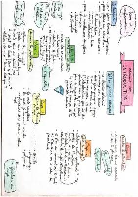 Facile : Comment Écrire Une Introduction de Dissertation