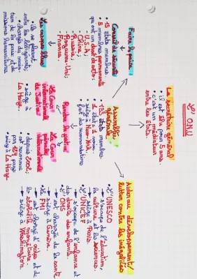 Schéma du Fonctionnement et des Organes de l'ONU - PDF Inclus!