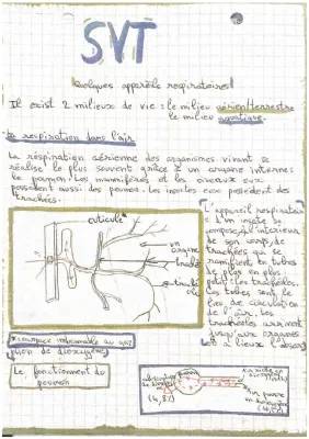 Les Types de Respiration chez les Animaux - Branchies et Poumons