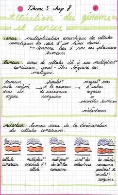 Altération du Génome et Cancer: Cours, Mutations et Caractéristiques