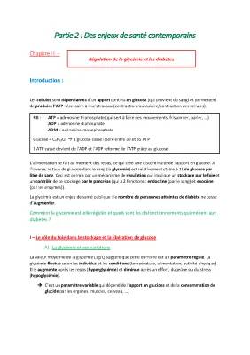 Tout sur la Régulation de la Glycémie : PDF, Schémas et Exercices Corrigés