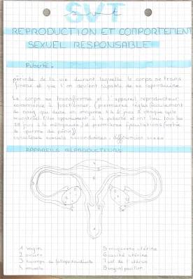 Tout sur la Puberté et les Méthodes de Contraception - Cours SVT 4ème