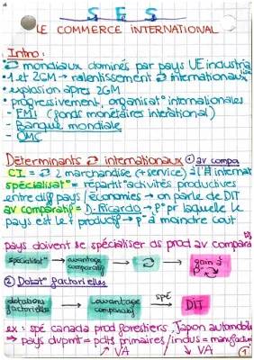 ses le commerce international 