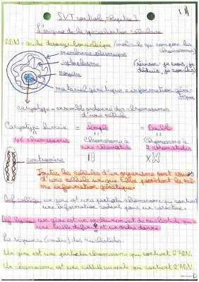 L’origine de la spécialisation cellulaire 