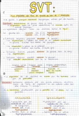 Sujet BAC SVT: Contrôle des flux de glucose et régulation de la glycémie