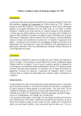 Candide Voltaire Chapitre 19 Analyse PDF - Analyse linéaire et Commentaire