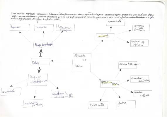 Carte mentale Métropole 6ème - Les métropoles et leurs habitants