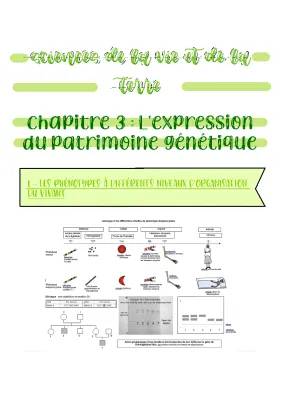 Lexpression du Patrimoine Génétique 1ere Spé - Chapitre 3 : Synthèse des Protéines et Drépanocytose