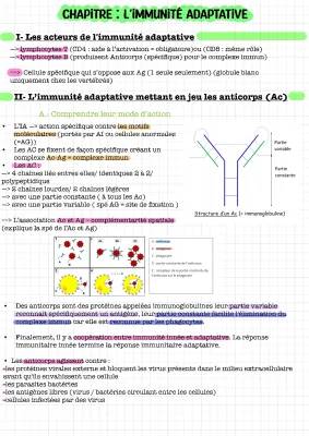 Le Système Immunitaire - Cours Résumé: Immunité Adaptative, Innée et Comparaison