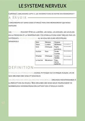 Exercices et corrigés SVT 5ème : Le système nerveux et les 5 sens
