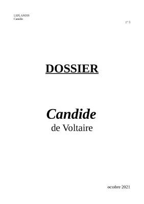 Pourquoi Voltaire a écrit Candide : Résumé et Thèmes Principaux