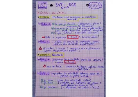 Fiche Méthode ECE SVT 2024: Tous les Exemples et Corrigés