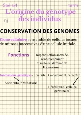 Découvre la Reproduction Asexuée et le Clonage chez les Plantes