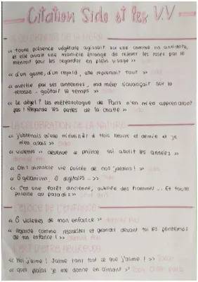 Citations Colette Sido et Les Vrilles de la vigne pour le bac de français