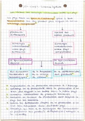 Schema synthétique sur l'internationalisation du commerce