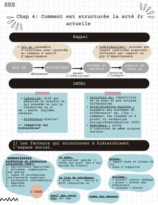 Comment est Structurée la Société Française Actuelle ? Découvre la Société SES Terminale et les Inégalités!