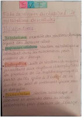 Chapitre 2 : Le métabolisme des cellules