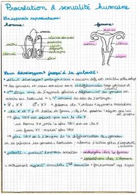 Étapes et Signes de la Puberté: Garçons et Filles