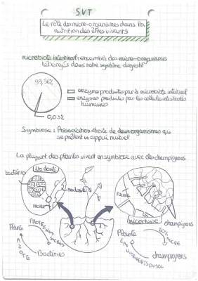 Découvrons le rôle des micro-organismes dans la nutrition et la digestion !