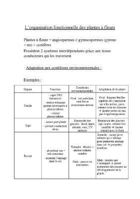 Les Secrets des Plantes: Adaptations, Croissance et Circulation de la Sève