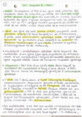 Comprendre les Gènes et Allèles : Cours de 3ème sur l'ADN et la Diversité Génétique