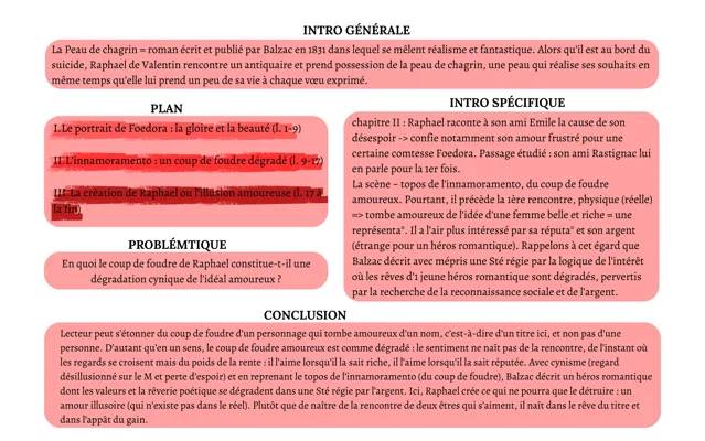 Résumé de La Peau de chagrin par Chapitre et Analyse des Personnages