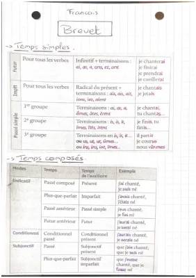 Apprends la Conjugaison : Passé Simple et Plus-Que-Parfait avec Tableaux Amusants