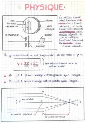 Comment Fonctionne une Lentille Convergente: Distance Focale et Axe Optique!