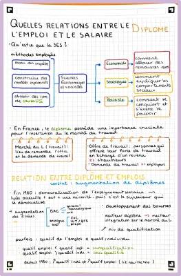 Quelles relations entre le diplôme, l'emploi et le salaire ? PDF, QCM et plus