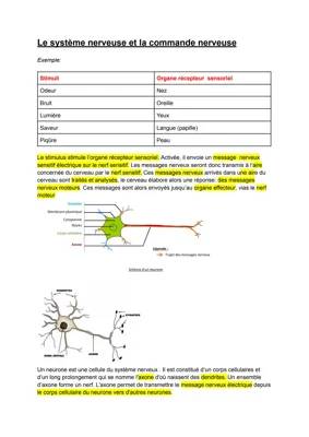 Le système nerveux et la commande nerveuse 
