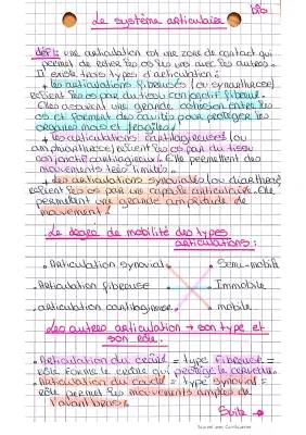 Les 3 types d'articulation : Définition, Types et Mouvements