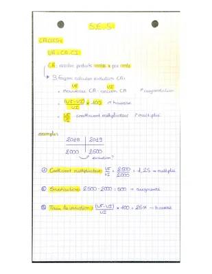 Formules et calculs SES : évolution du chiffre d'affaires et taux de variation - Fiche révision