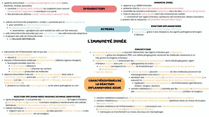 Découvre le Système Immunitaire : Cours Résumé et Phagocytose