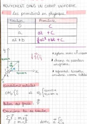 Comprendre le mouvement dans un champ uniforme : Équations horaires et loi de Newton